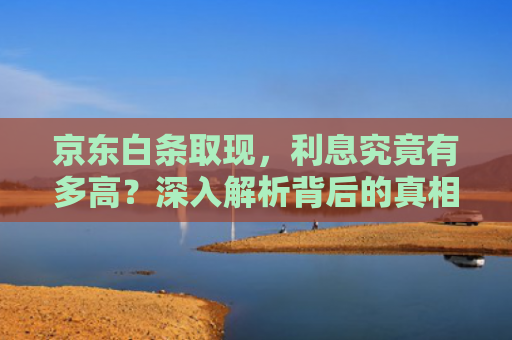 京东白条取现，利息究竟有多高？深入解析背后的真相 第1张