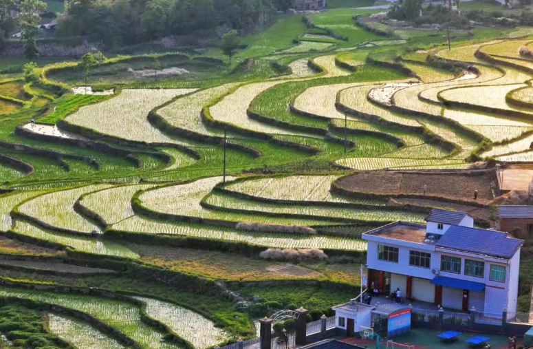 乡土里的“矛盾人”：新时代传统农民的多面心性