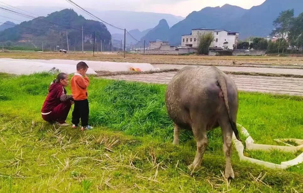 再苦再难再累也要结婚生子